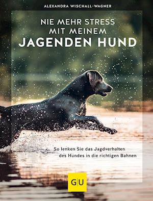 Nie mehr Stress mit meinem jagenden Hund