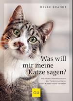 Was will mir meine Katze sagen?