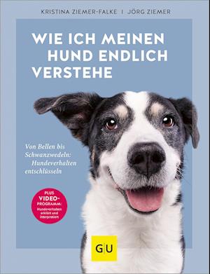 Wie ich meinen Hund endlich verstehe