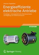 Energieeffiziente elektrische Antriebe