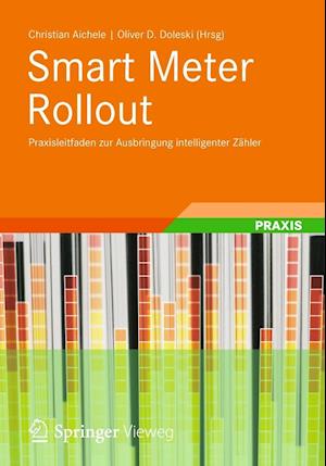 Smart Meter Rollout