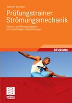 Prüfungstrainer Strömungsmechanik