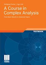 Course in Complex Analysis