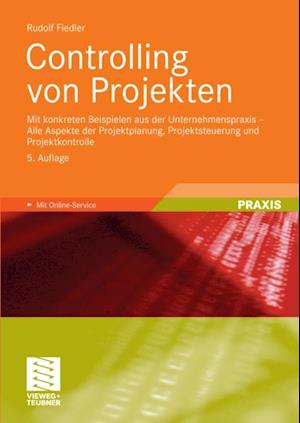 Controlling von Projekten