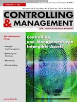 Controlling und Management von Intangible Assets