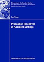 Precaution Incentives in Accident Settings
