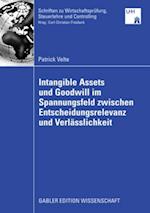 Intangible Assets und Goodwill im Spannungsfeld zwischen Entscheidungsrelevanz und Verlässlichkeit