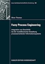 Fuzzy Process Engineering