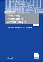 Integrierte Informationsverarbeitung 1