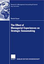 Effect of Managerial Experiences on Strategic Sensemaking