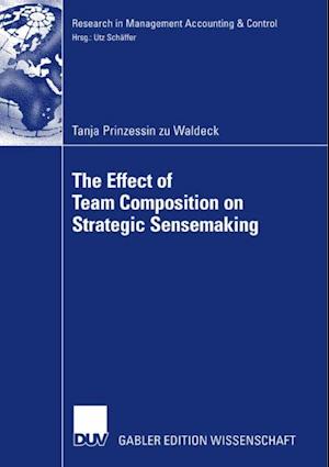 Effect of Team Composition on Strategic Sensemaking