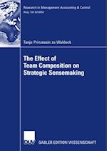 Effect of Team Composition on Strategic Sensemaking