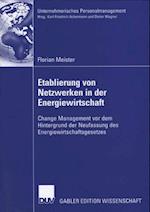 Etablierung von Netzwerken in der Energiewirtschaft