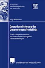 Operationalisierung der Unternehmensflexibilität