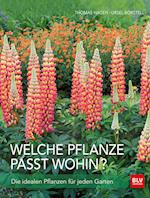 Welche Pflanze passt wohin?