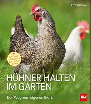 Hühner halten im Garten