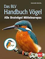 Das BLV Handbuch Vögel