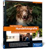 Hundefotografie