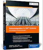 Datenmigration in SAP-Systeme