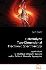 Heterodyne Two-Dimensional Electronic Spectroscopy