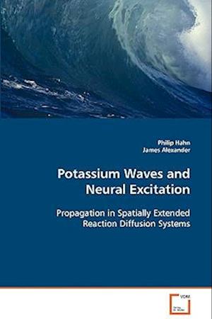 Potassium Waves and Neural Excitation