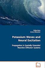 Potassium Waves and Neural Excitation