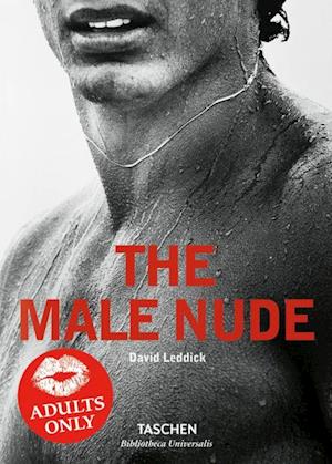 Male Nude, The