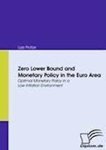 Zero Lower Bound and Monetary Policy in the Euro Area