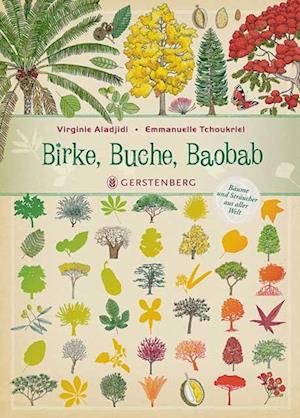 Birke, Buche, Baobab