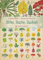 Birke, Buche, Baobab