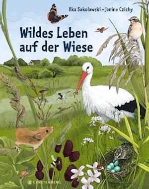 Wildes Leben auf der Wiese