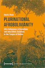 Plurinational Afrobolivianity - Afro-Indigenous Articulations and Interethnic Relations in the Yungas of Bolivia
