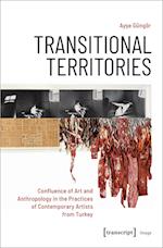 Transitional Territories