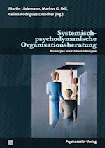 Systemisch-psychodynamische Organisationsberatung