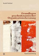 Grundlagen psychodynamischer Organisationsberatung