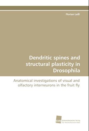 Dendritic spines and structural plasticity in Drosophila