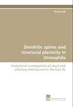 Dendritic Spines and Structural Plasticity in Drosophila