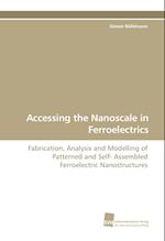 Accessing the Nanoscale in Ferroelectrics