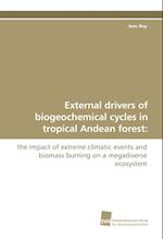 External drivers of biogeochemical cycles in tropical Andean forest: