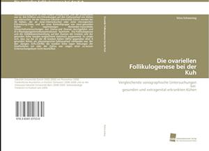 Die ovariellen Follikulogenese bei der Kuh