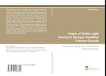 Origin of Visible Light Activity in Nitrogen Modified Titanium Dioxide