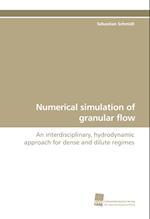 Numerical simulation of granular flow