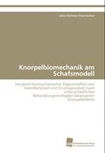 Knorpelbiomechanik Am Schafsmodell