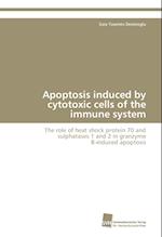 Apoptosis induced by cytotoxic cells of the immune system
