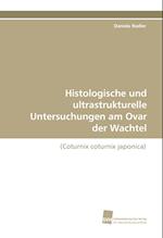 Histologische und ultrastrukturelle Untersuchungen am Ovar der Wachtel