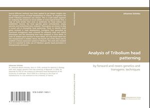 Analysis of Tribolium head patterning