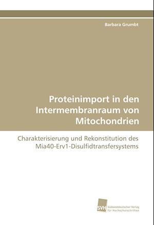 Proteinimport in den Intermembranraum von Mitochondrien