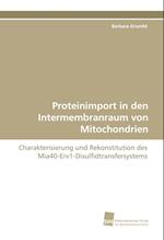 Proteinimport in den Intermembranraum von Mitochondrien