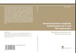 Nanostrukturierte anodische Oxidschichten auf Ti und TiAl-Legierungen