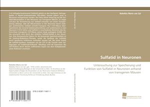 Sulfatid in Neuronen